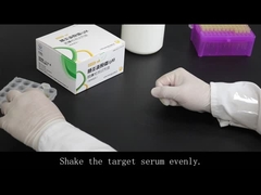 تست سریع برای تشخیص آنتی بادی MP-IgM (طلای کلوئیدی)