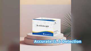 کیت IL-6 ELISA 96 تشخیص دقیق را آزمایش می کند