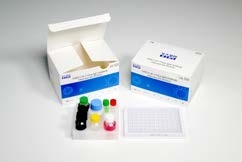 96 آزمایش 60 دقیقه IgG Elisa کیت آزمایش کووید-19 نمونه سرم انسانی