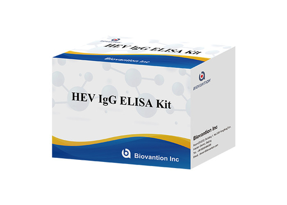 کیت تشخیصی HEV Human Igg Elisa برای آنتی بادی IgG برای ویروس هپاتیت E