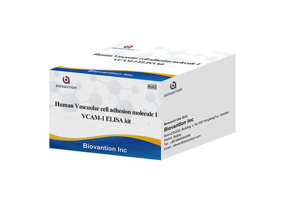 کیت تست VCAM1 CD106 ELISA RUO برای مولکول چسبندگی سلول عروقی انسان 1