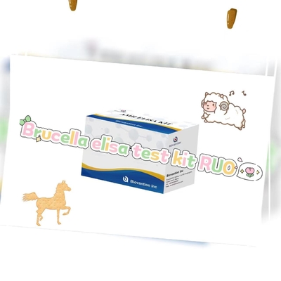 کیت آزمایش بروسلا الیسا RUO کیت آزمایش الیسا از محصولات مرتبط با آنزیم تحقیق استفاده فقط آزمایش روی حیوانات