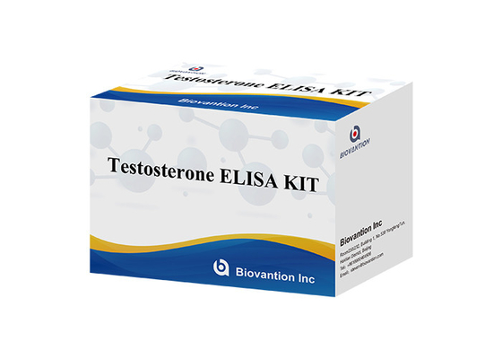 آزمایشگاه یا بیمارستان با دقت بالا تستوسترون آزاد Tes ELISA تست کیت