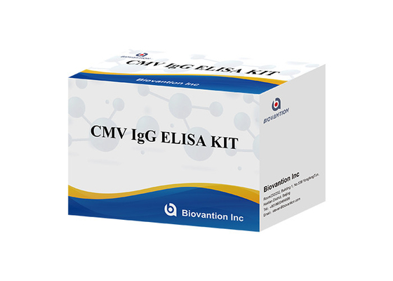 برای آزمایشگاه یا بیمارستان، آنتی بادی های IgG با دقت بالا برای تست سیتومیگالویرس Elisa