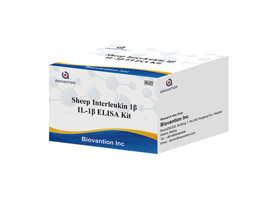 Sheep Interleukin 1 Beta Elisa Kit IL1F2 ELISA RUO Test Kit Il1b Elisa Kit