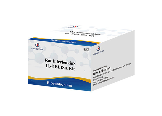 Rat IL-8 Interleukin 8 Elisa Kit CXCL8 Elisa Test Kits Chemokine (C-X-C Motif) Ligand 8