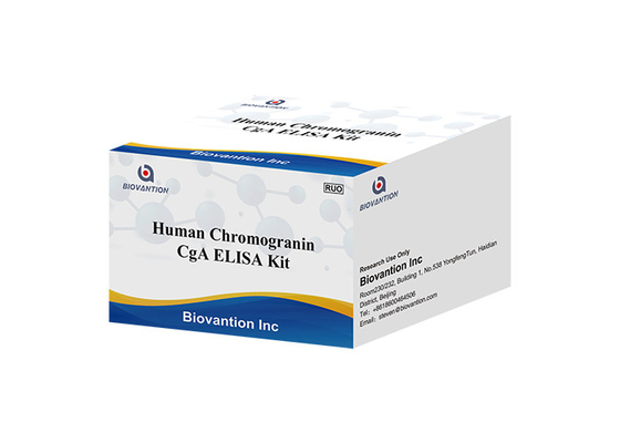 CgA ELISA RUO کیت تست کروموگرانین انسانی A کیت الایزا پروتئین ترشحی هیپوفیز I