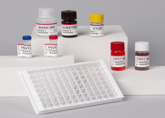 دقیقیت بالا برای آزمایشگاه یا بیمارستان دقیقیت بالا RUO Human TNF-α Elisa Test Kit