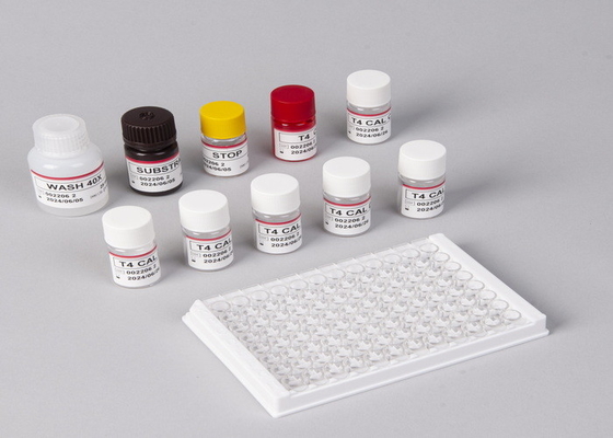 برای آزمایشگاه یا بیمارستان کیت آزمایش H.Pylori IgG Elisa با دقت بالا