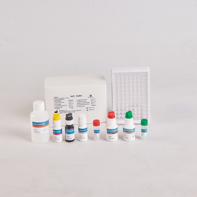 کیت PTH Elisa انسان/کیت هورمون پاراتایروئید انسانی Elisa برای RUO با 96 آزمایش