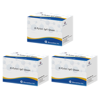 H.Pylori IgG Quant. Elisa Kit Origin Elisa Test Kit Format Kit از شرکت بیوانشن