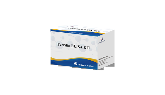 کیت آزمایش فرریتین ELisa حساسیت سریعی سرم Elisa Test Biovantion 2-3 ساعت زمان آزمایش 2-8.C ذخیره سازی