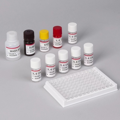 کیت تست IL-6 Interleukin 6 Elisa با زمان آزمایش 2-3 ساعت Biovantion فرمت سرم / پلاسما 18 ماه