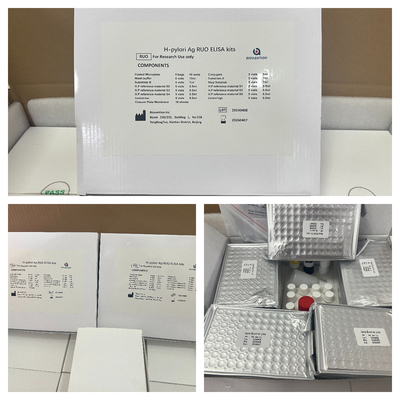 H کیت آزمایش Pylori ELISA 480test/kit Elisa Screening Kit نتایج