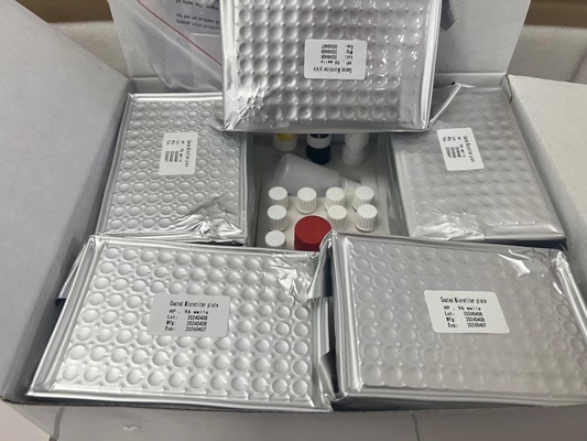 H کیت آزمایش Pylori ELISA 480test/kit Elisa Screening Kit نتایج
