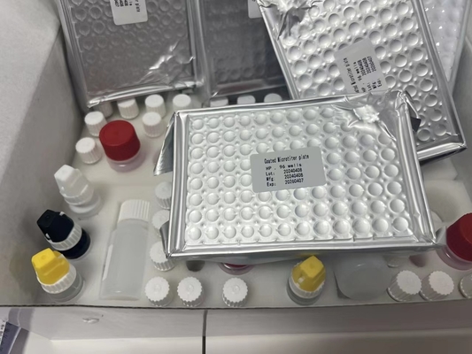 H کیت آزمایش Pylori ELISA 480test/kit Elisa Screening Kit نتایج