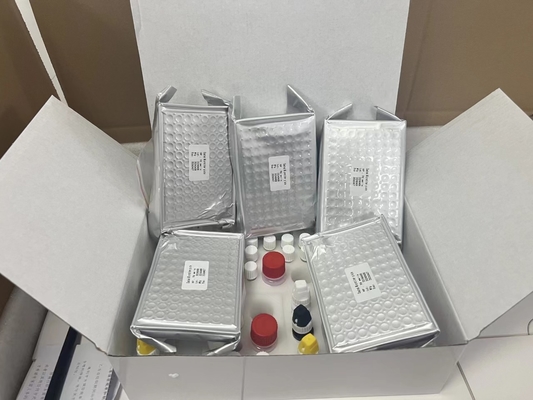 H کیت آزمایش Pylori ELISA 480test/kit Elisa Screening Kit نتایج