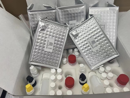 H کیت آزمایش Pylori ELISA 480test/kit Elisa Screening Kit نتایج