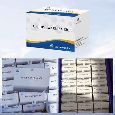 کیت آزمایش ELISA ضد HIV Biovantion 18 ماه مدت زمان نگهداری برای آزمایش HIV-1 و HIV-2