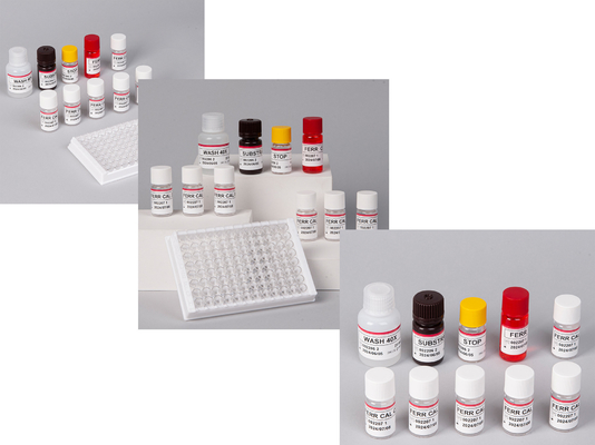 آزمایشگاه یا بیمارستان کیت آزمایش فرریتین انسانی FE ELISA با دقت بالا