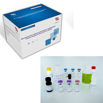 کیت تست آسان سل-IGRA ELISA با عمر طولانی و روش نگهداری 2C-8C
