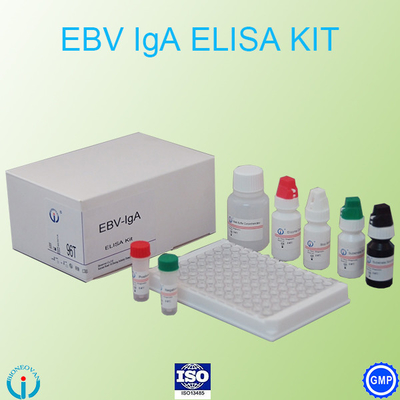 EBV-VCA IgA Ab ELISA Kit Kit Kit Kit Kit Kit Kit Kit Kit Kit Kit Kit Kit Kit Kit Kit Kit Kit Kit Kit Kit Kit Kit Kit Kit Kit Kit Kit Kit Kit Kit Kit Kit Kit Kit Kit Kit Kit Kit Kit Kit Kit Kit Kit Kit Kit Kit Kit Kit Kit Kit Kit Kit Kit Kit Kit Kit Kit Kit Kit Kit Kit Kit Kit Kit Kit Kit Kit Kit Kit Kit Kit Kit Kit Kit Kit Kit Kit Kit Kit Kit Kit Kit Kit Kit Kit Kit Kit Kit Kit Kit Kit Kit Kit Kit Kit Kit Kit Kit Kit Kit Kit Kit Kit Kit Kit Kit Kit Kit Kit Kit Kit Kit Kit Kit Kit Kit Kit Kit Kit