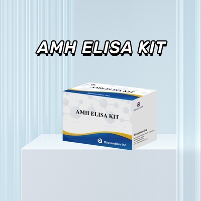 تأییدیه CE استفاده انسانی هورمون ضد مولر (AMH) تست الیزا کیت آزمایش خون یا سرم 96T