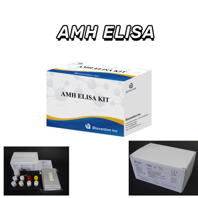 تأییدیه CE استفاده انسانی هورمون ضد مولر (AMH) تست الیزا کیت آزمایش خون یا سرم 96T