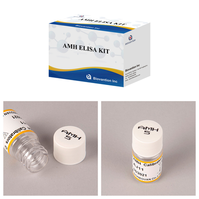تأییدیه CE استفاده انسانی هورمون ضد مولر (AMH) تست الیزا کیت آزمایش خون یا سرم 96T