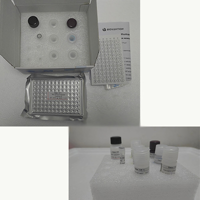 کیت آزمایش ویتامین E Elisa از محصولات مرتبط با آنزیم RESEARCH استفاده فقط آزمایش روی حیوانات