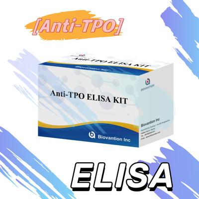 آنتی بادی های حساس پروکسیداز تیروئید Elisa Test Kit برای تشخیص انسان