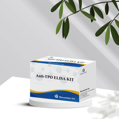 آنتی بادی های حساس پروکسیداز تیروئید Elisa Test Kit برای تشخیص انسان