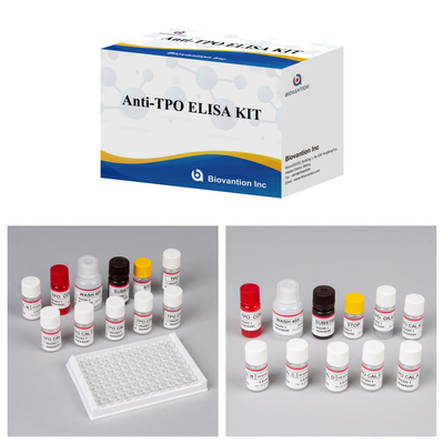 آنتی بادی های حساس پروکسیداز تیروئید Elisa Test Kit برای تشخیص انسان