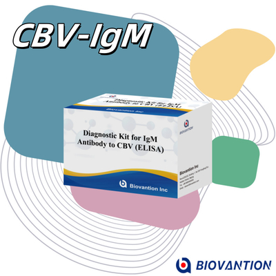 18 ماه زمان نگهداری تست آمونوسوربنتی مرتبط با آنزیم برای آنتی بادی IgM به CBV