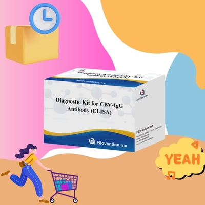 کیت تشخیصی حساسیت برای تشخیص آنتی بادی CBV-IgG انسان کیت الیزای برای تشخیص دقیق نوع نمونه