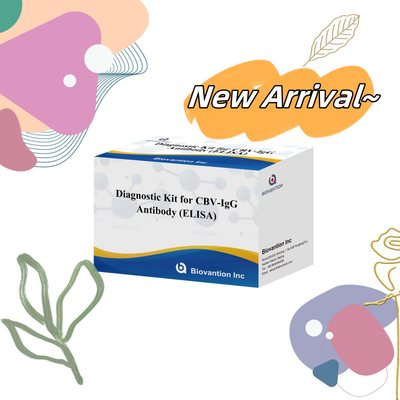 کیت تشخیصی حساسیت برای تشخیص آنتی بادی CBV-IgG انسان کیت الیزای برای تشخیص دقیق نوع نمونه