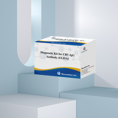 کیت تشخیصی حساسیت برای تشخیص آنتی بادی CBV-IgG انسان کیت الیزای برای تشخیص دقیق نوع نمونه