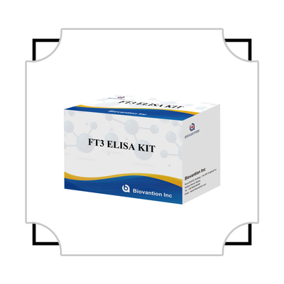 FT3 Triiodothyronine Free برای انسان کیت های تشخیصی با آزمایش 96T ELISA برای آزمایشگاه بیمارستان کلینیک