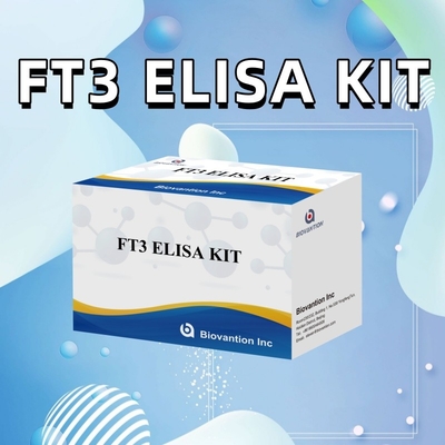 FT3 Triiodothyronine Free برای انسان کیت های تشخیصی با آزمایش 96T ELISA برای آزمایشگاه بیمارستان کلینیک