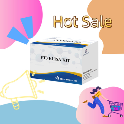 FT3 Triiodothyronine Free برای انسان کیت های تشخیصی با آزمایش 96T ELISA برای آزمایشگاه بیمارستان کلینیک