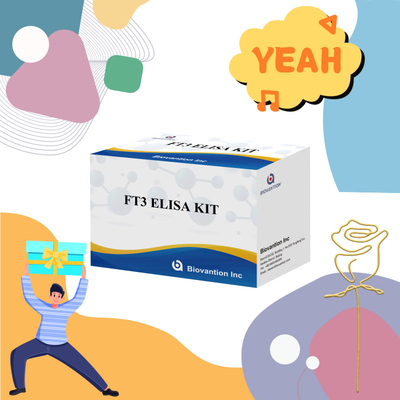 FT3 Triiodothyronine Free برای انسان کیت های تشخیصی با آزمایش 96T ELISA برای آزمایشگاه بیمارستان کلینیک