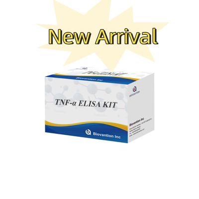 تست TNF-α RUO Elisa برای پلاسمای سرم راه حل تشخیصی دقیق و راحت برای تحقیقات