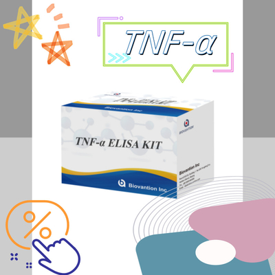 تست TNF-α RUO Elisa برای پلاسمای سرم راه حل تشخیصی دقیق و راحت برای تحقیقات