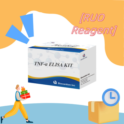 تست TNF-α RUO Elisa برای پلاسمای سرم راه حل تشخیصی دقیق و راحت برای تحقیقات