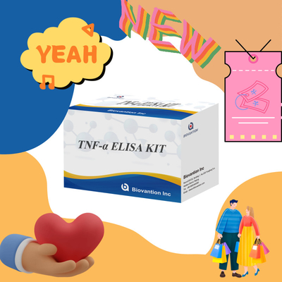 تست TNF-α RUO Elisa برای پلاسمای سرم راه حل تشخیصی دقیق و راحت برای تحقیقات