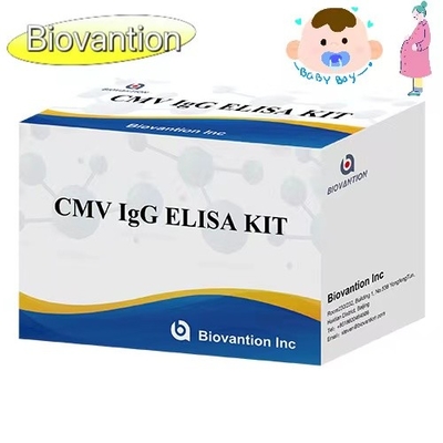 کیت CMV IgG ELISA زنان باردار آزمایش پیشگیرانه دقت بالا