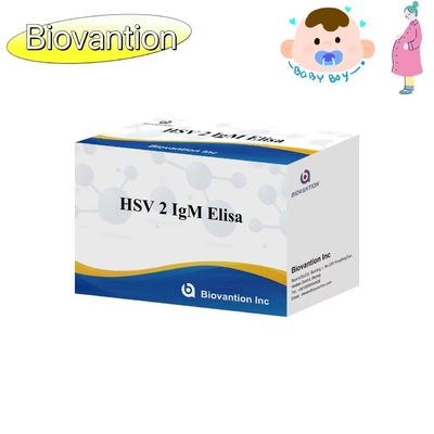 کیت آزمایش HSV 2 IgM Torch ELISA با دقت بالا دستورالعمل استفاده