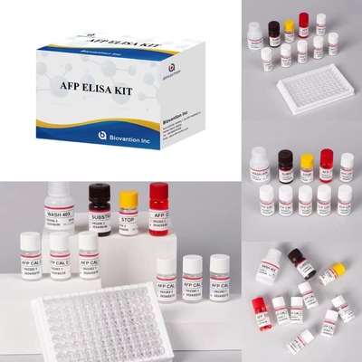 AFP Alpha Fetoprotein Elisa Test Kit محصولات مرتبط با آنزیم زمان حمل کوتاه