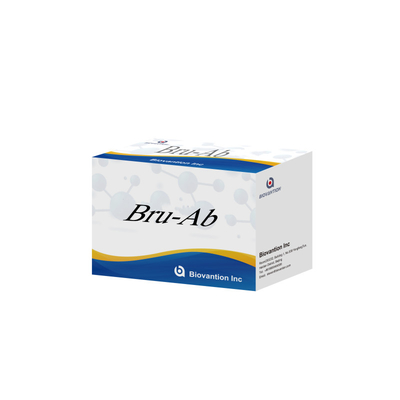 Bru Ab کیت آزمایش دقیق ELISA برای تشخیص هدفمند با CE ISO 13485