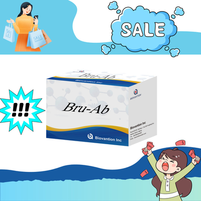 ELISA Animal Bru-Ab Elisa Reagent با 192t برای خوک گوسفند گوسفند گوسفند